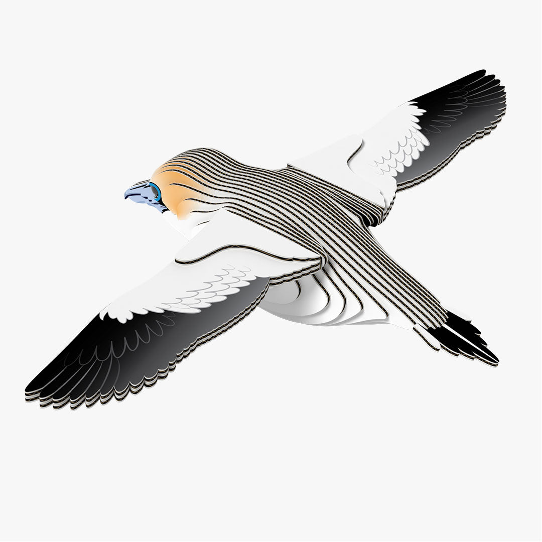 148 Gannet