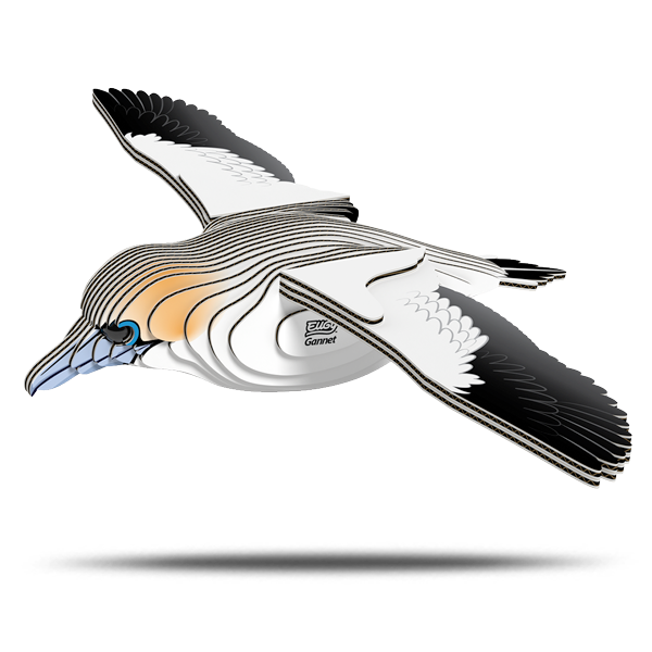 148 Gannet