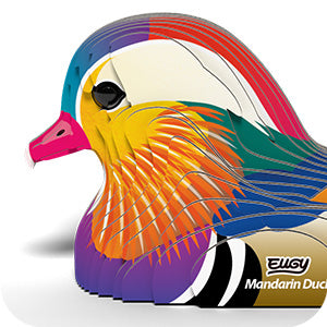096 Mandarin Duck – EUGY