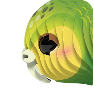 099 Kākāpō – EUGY